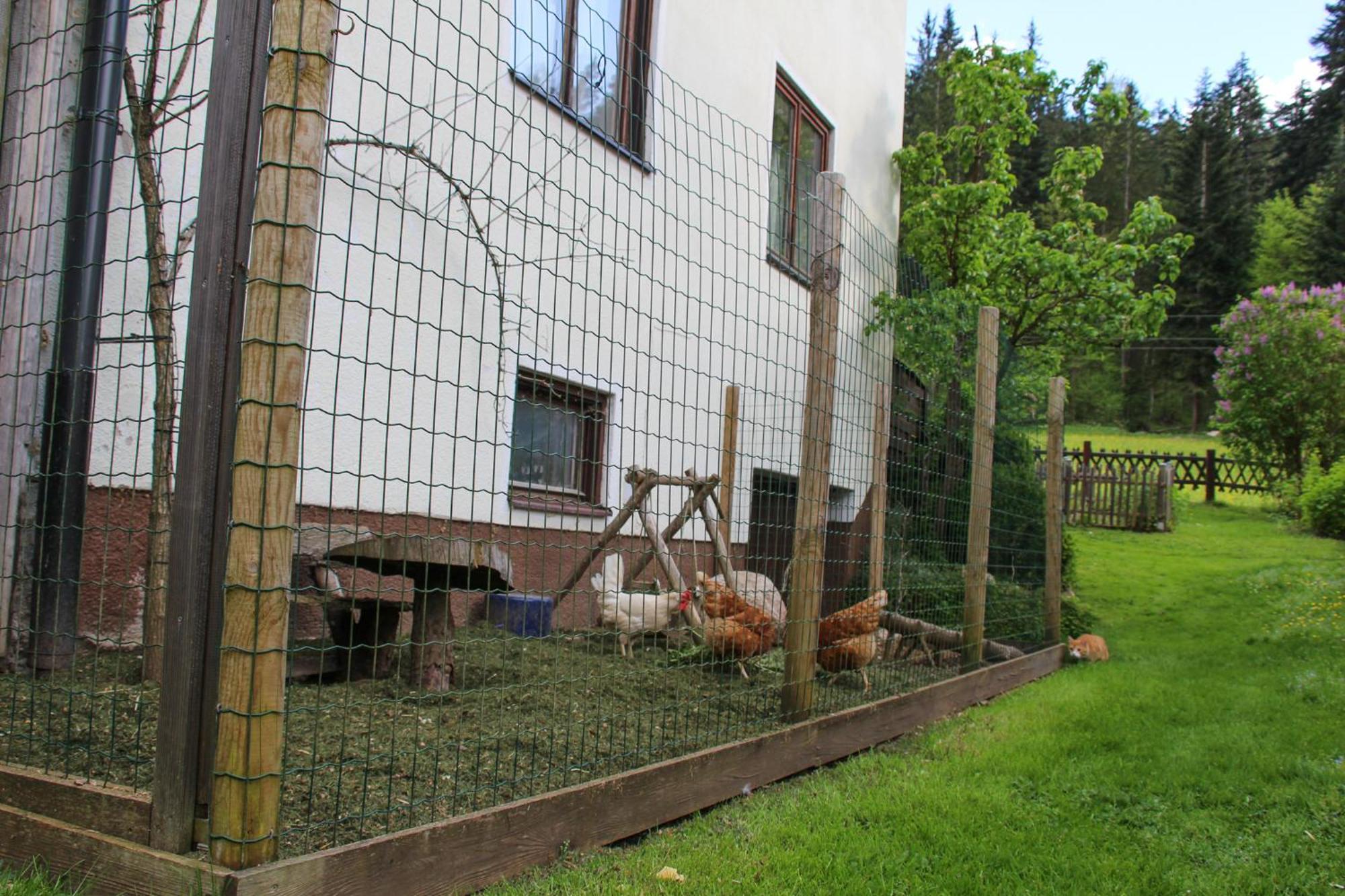 Frieda'S Platzl Apartment Abtenau Exterior photo